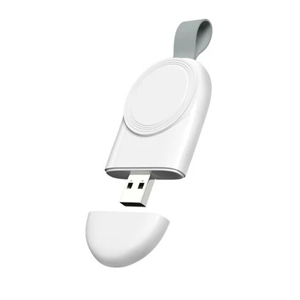 apple watch type-c 充電