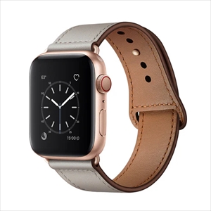 ロエベ アップルウォッチバンド