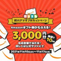 秋のアマギフWキャンペーン開催！！