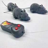 動くねずみのおもちゃで猫は遊ぶのか実験!