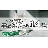 猫のおもちゃオススメ14選 タイプ別にご紹介！