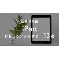 iPadのおもしろアクセサリーはある？便利で奇抜なグッズ12選