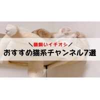 ガジェる,ガジェット,ガジェル,猫,YouTube,YouTuber,ユーチューブ,ユーチューバー,