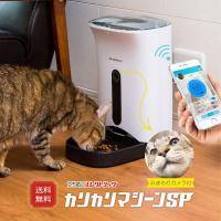 自動給餌器 スマートペットフィーダー カリカリマシーンSP 犬 猫 ペット ガジェット gadget がじぇっと