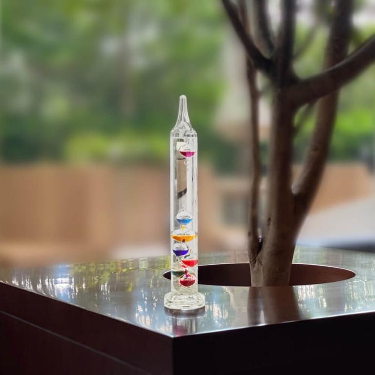 ガリレオ温度計 インテリア ガラス オブジェ YouTube 東海オンエア PEARL Galileo Thermometer Classic